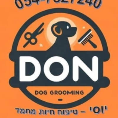 דון | lee