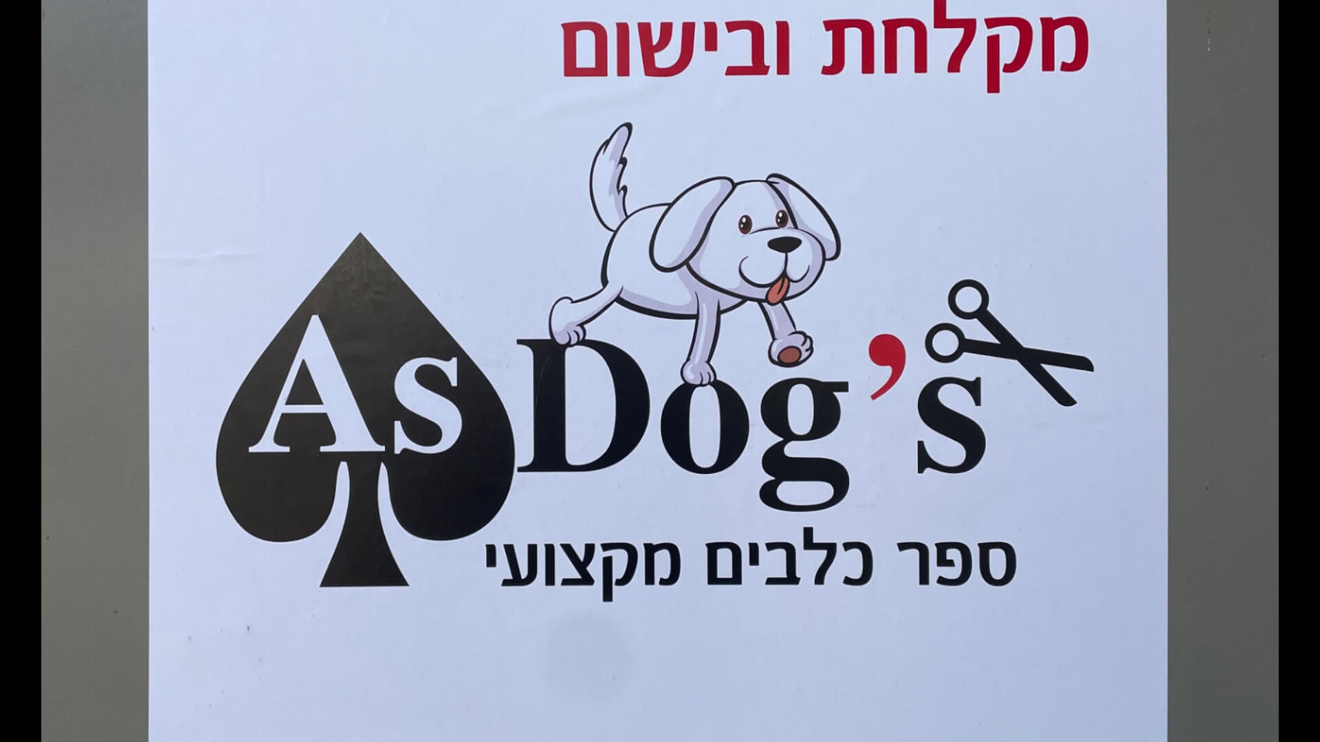 Asdogs