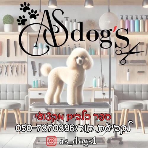 Asdogs | lee