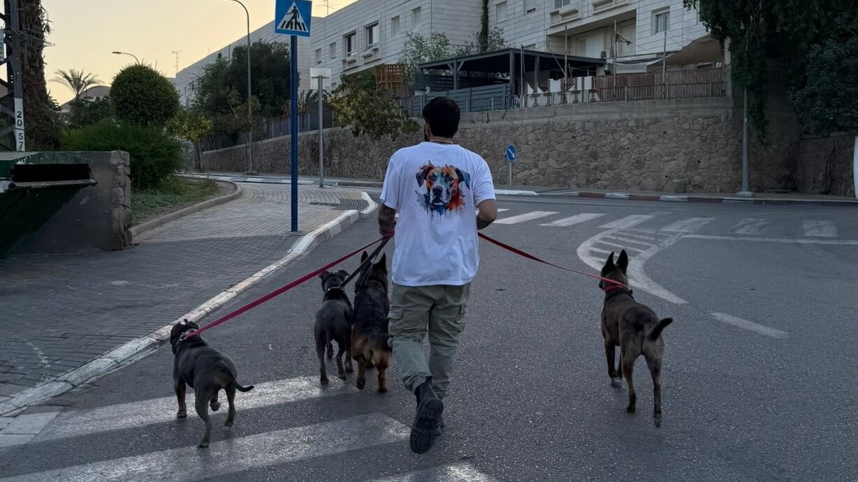 דוג טוק - אביב שלום 