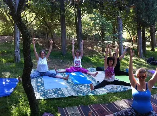 אסתי אור ים