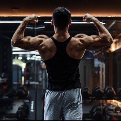 The Borz Gym | lee