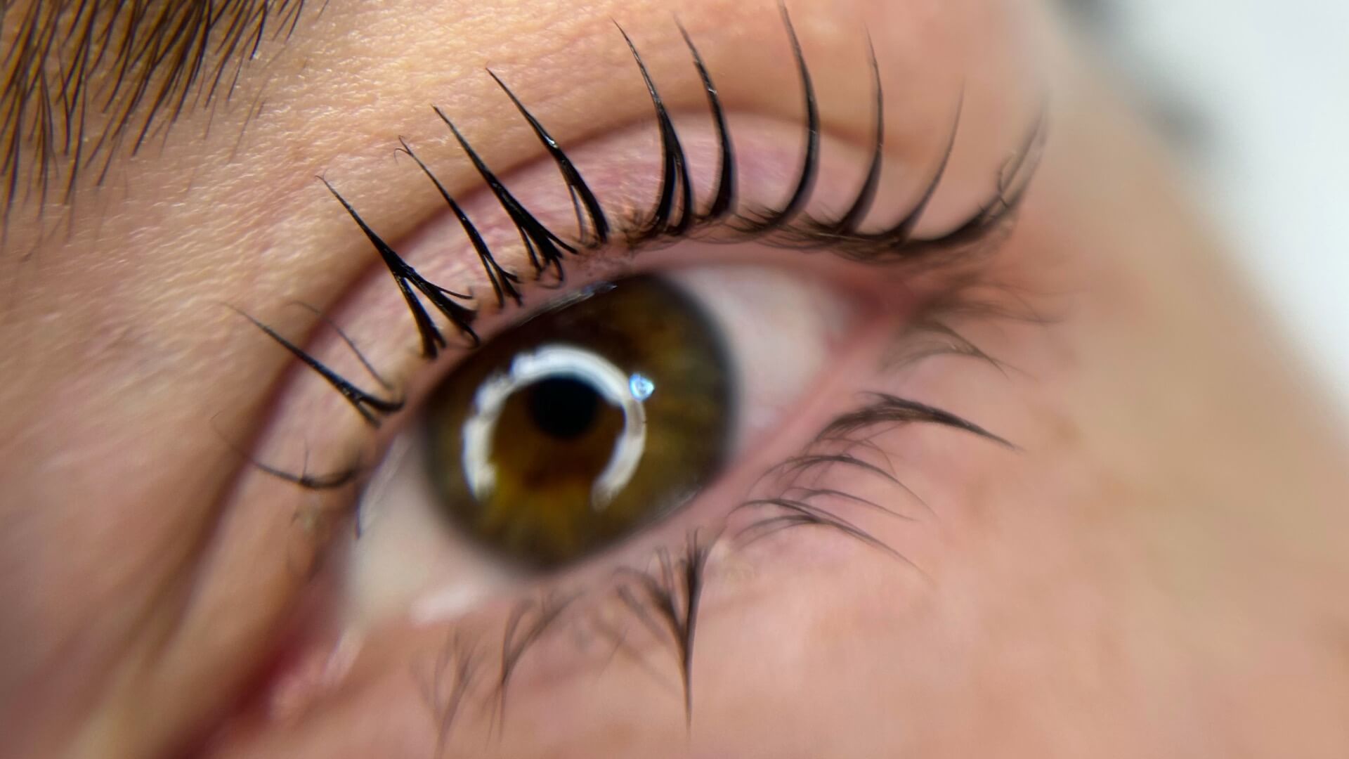 לינוי קוסמטיקה 