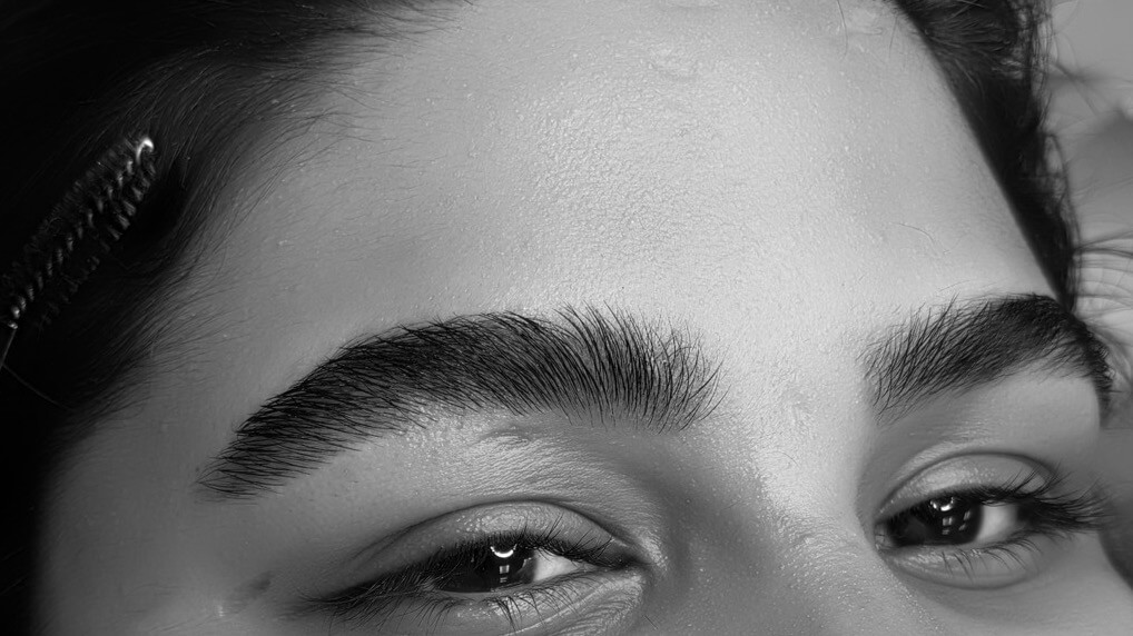 מישל ביוטי גבות