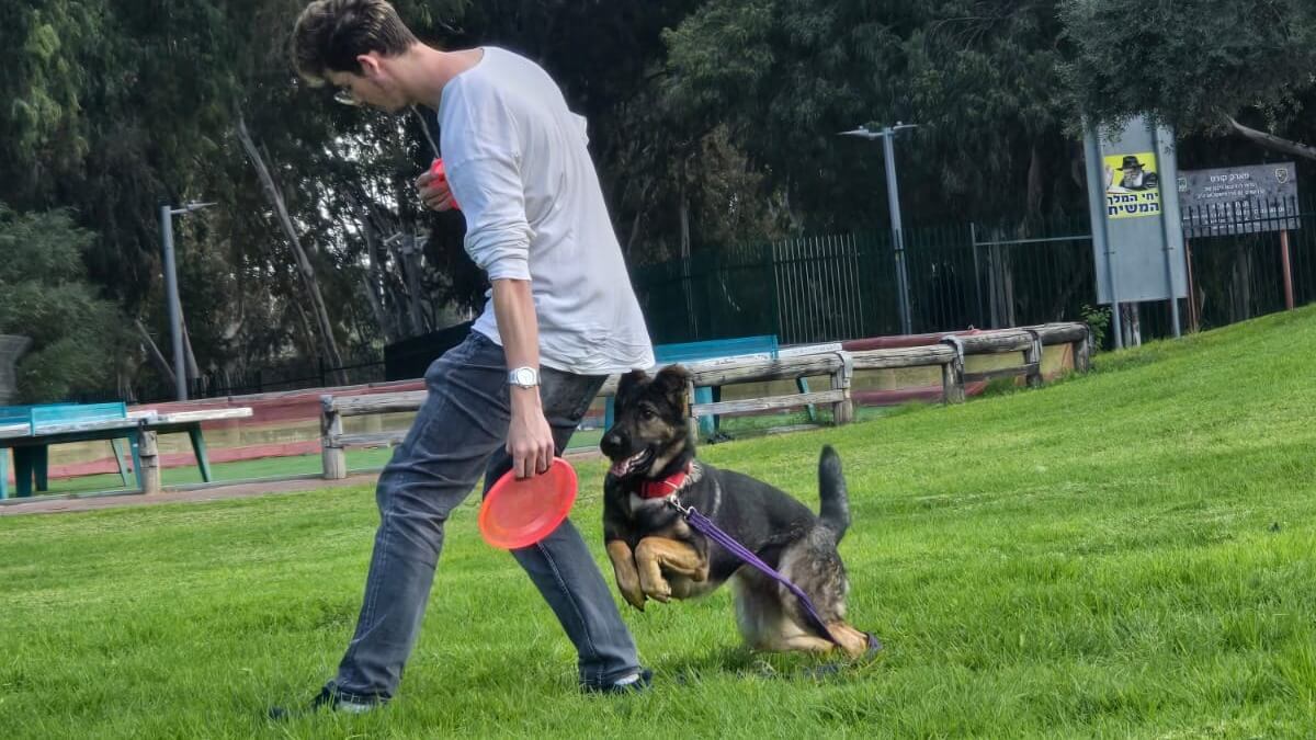 קרל אילוף כלבים