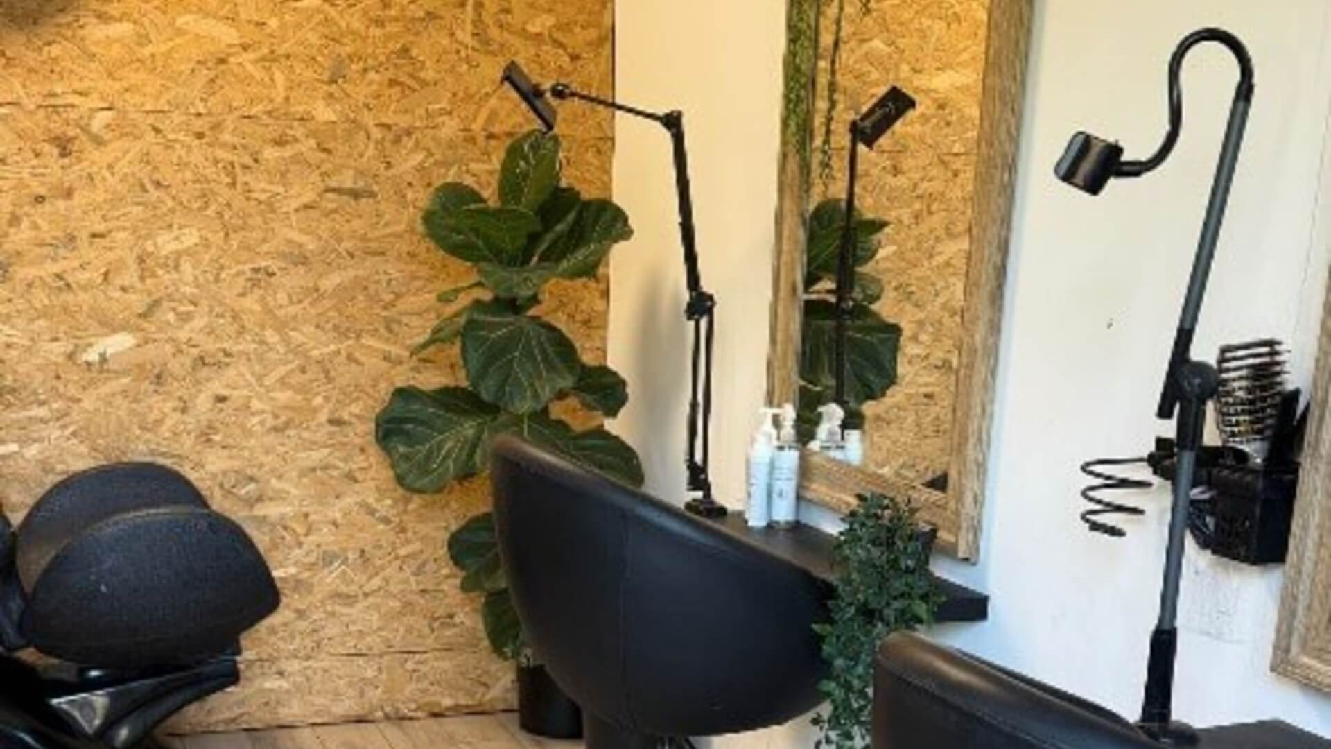 אבישג אלגרסי 