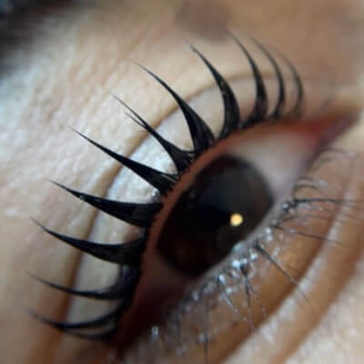 ליעד קולט ביוטי  | lee