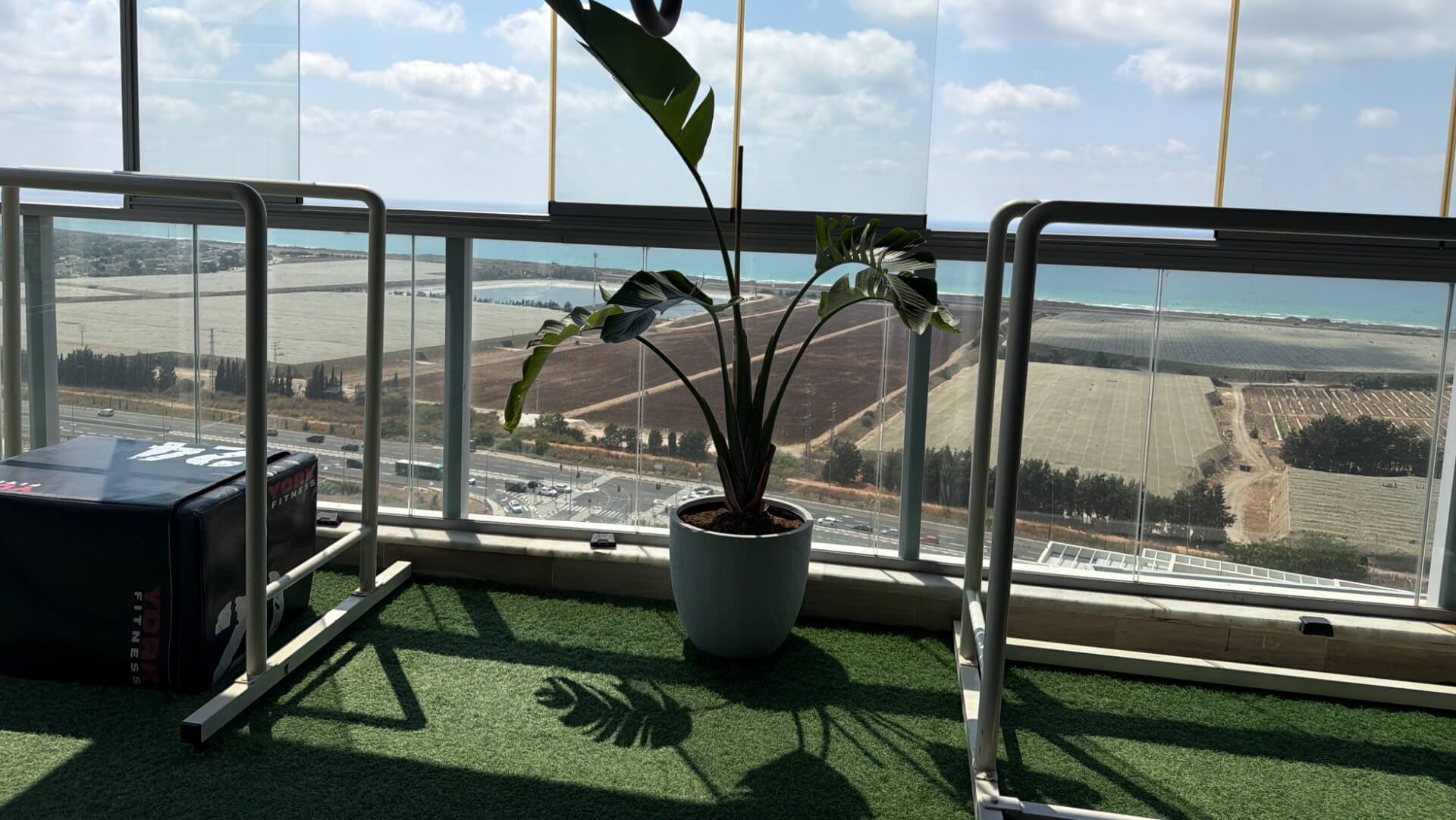  | מורין אופיר