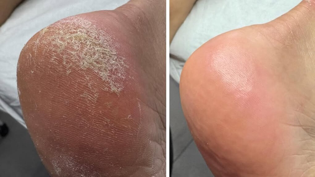 דיאנה סטודיו