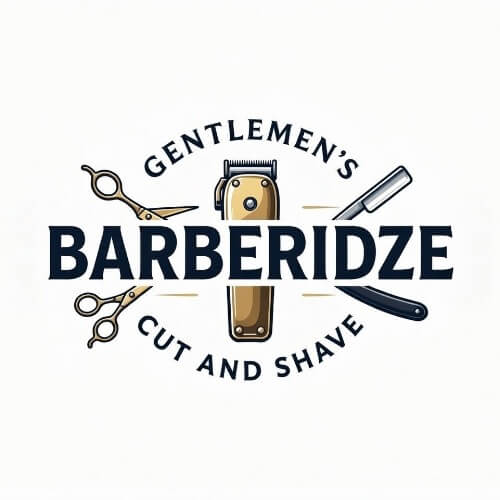 BARBERIDZE | lee