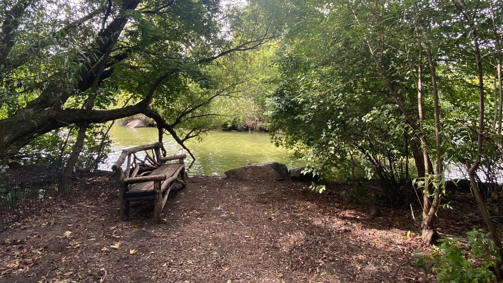 הומאופתיה וליווי דרך - עינת שיקה