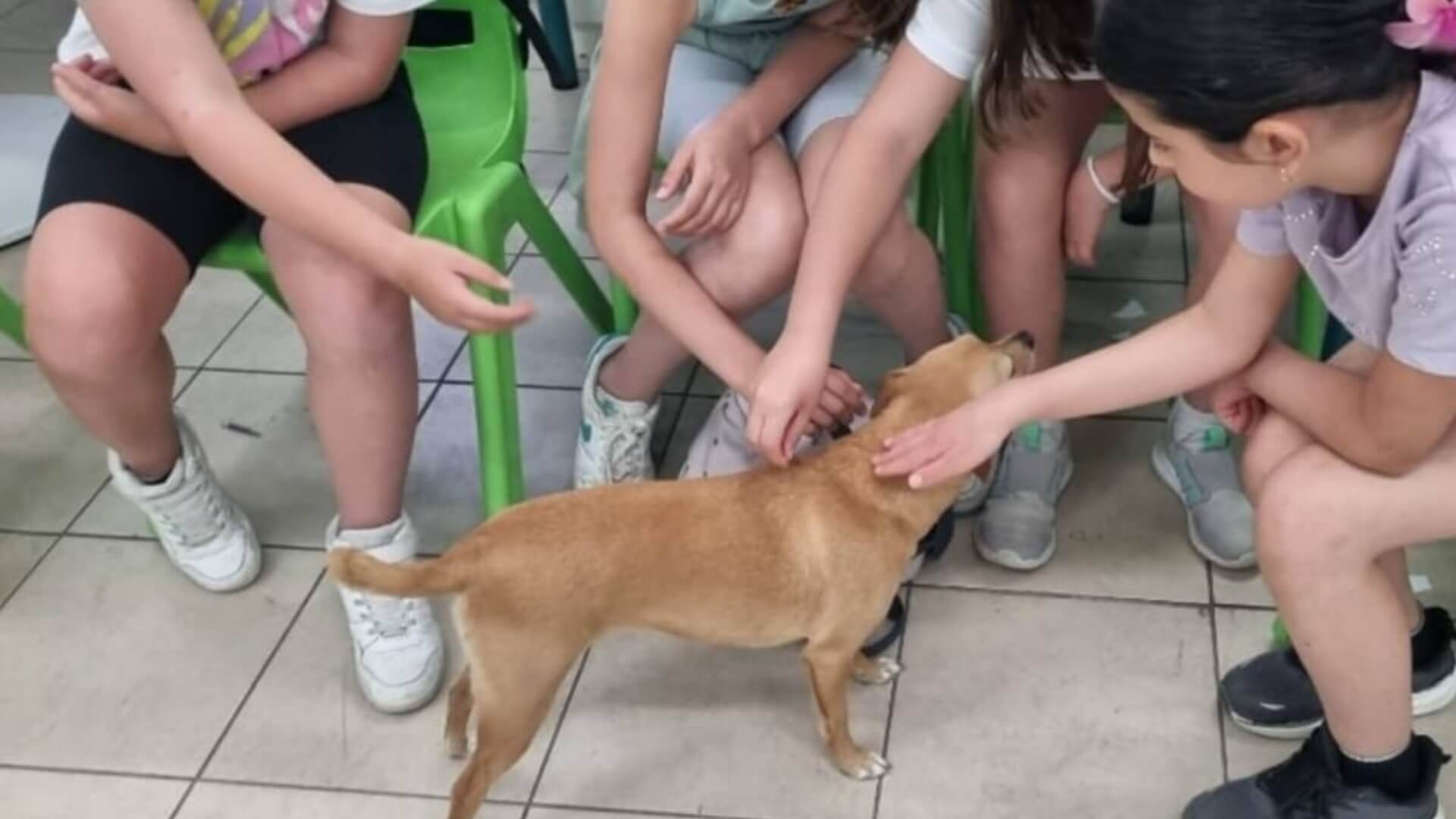  | החיוך שבלב