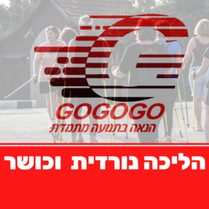 Go Go Go | lee
