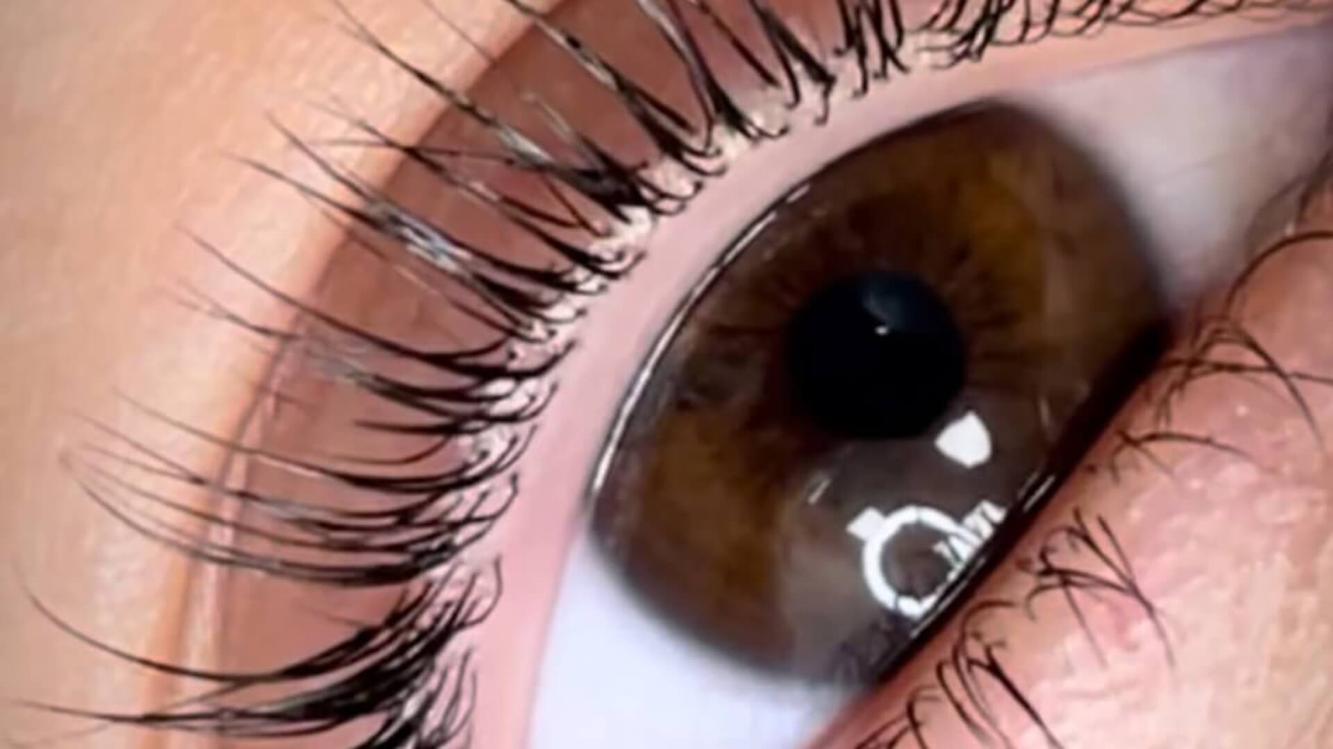 	Eliyan  Beauty Studio