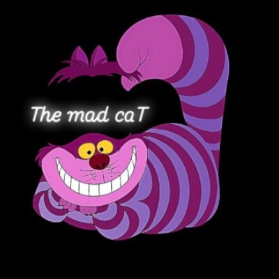 The mad caT  | lee