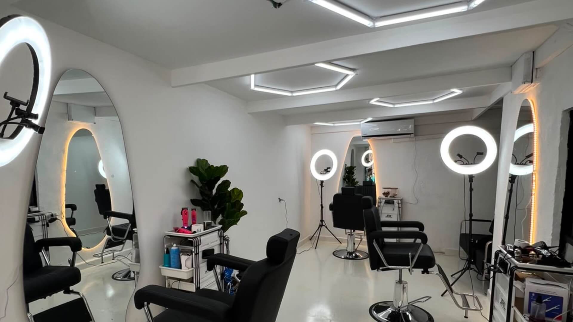  | Ha studio