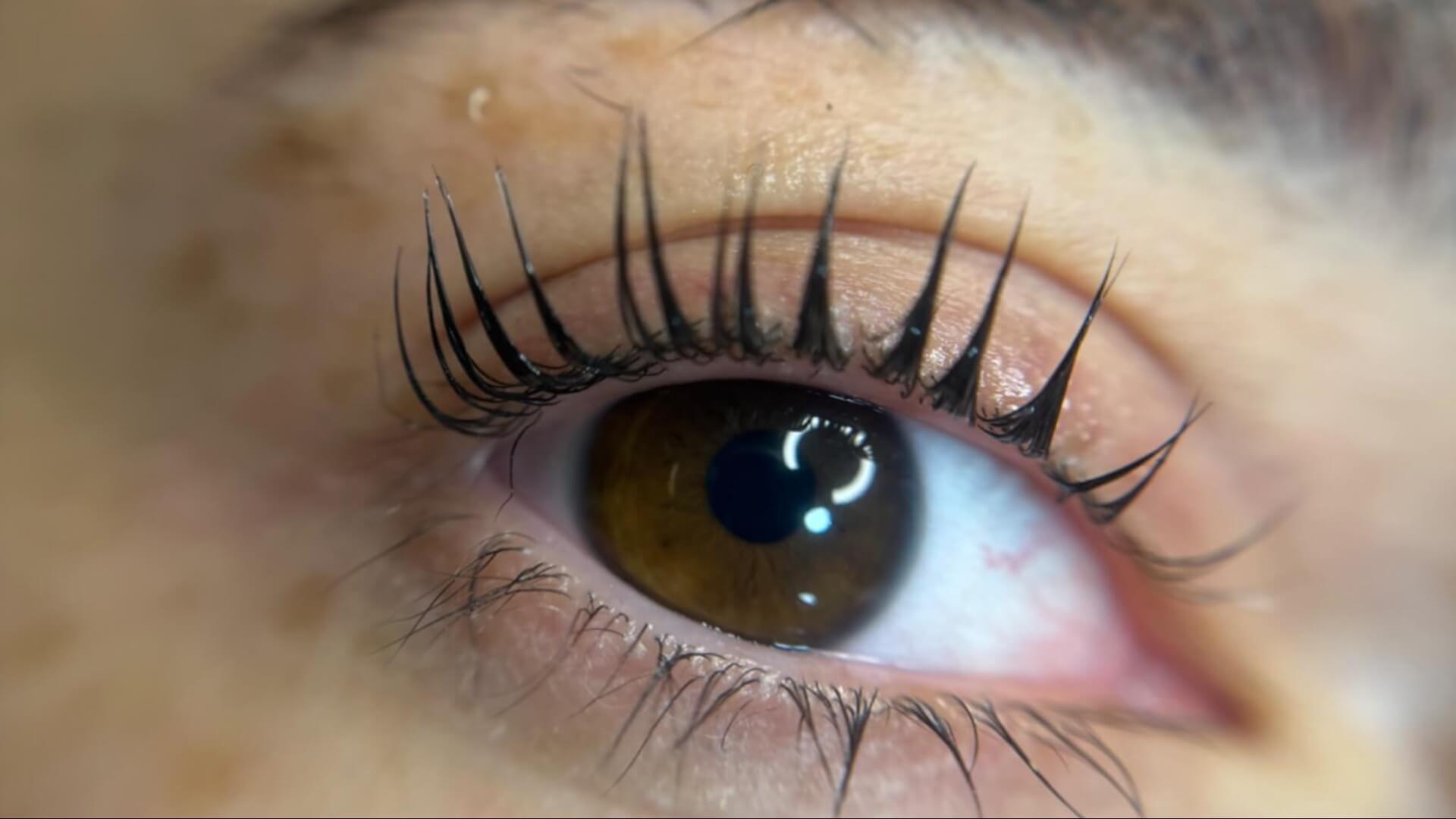 | shirel eyelashes