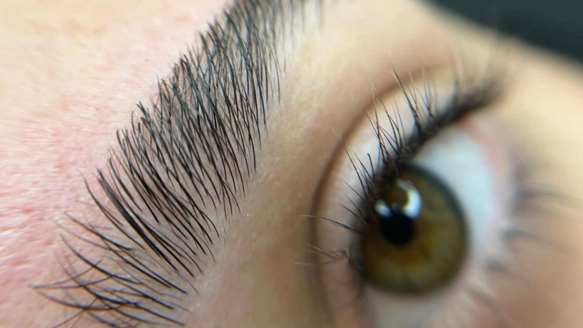  | Noa Meytal Eyebrow 