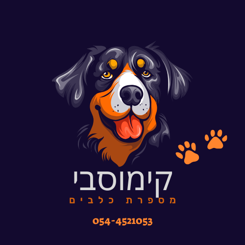 קימוסבי | lee
