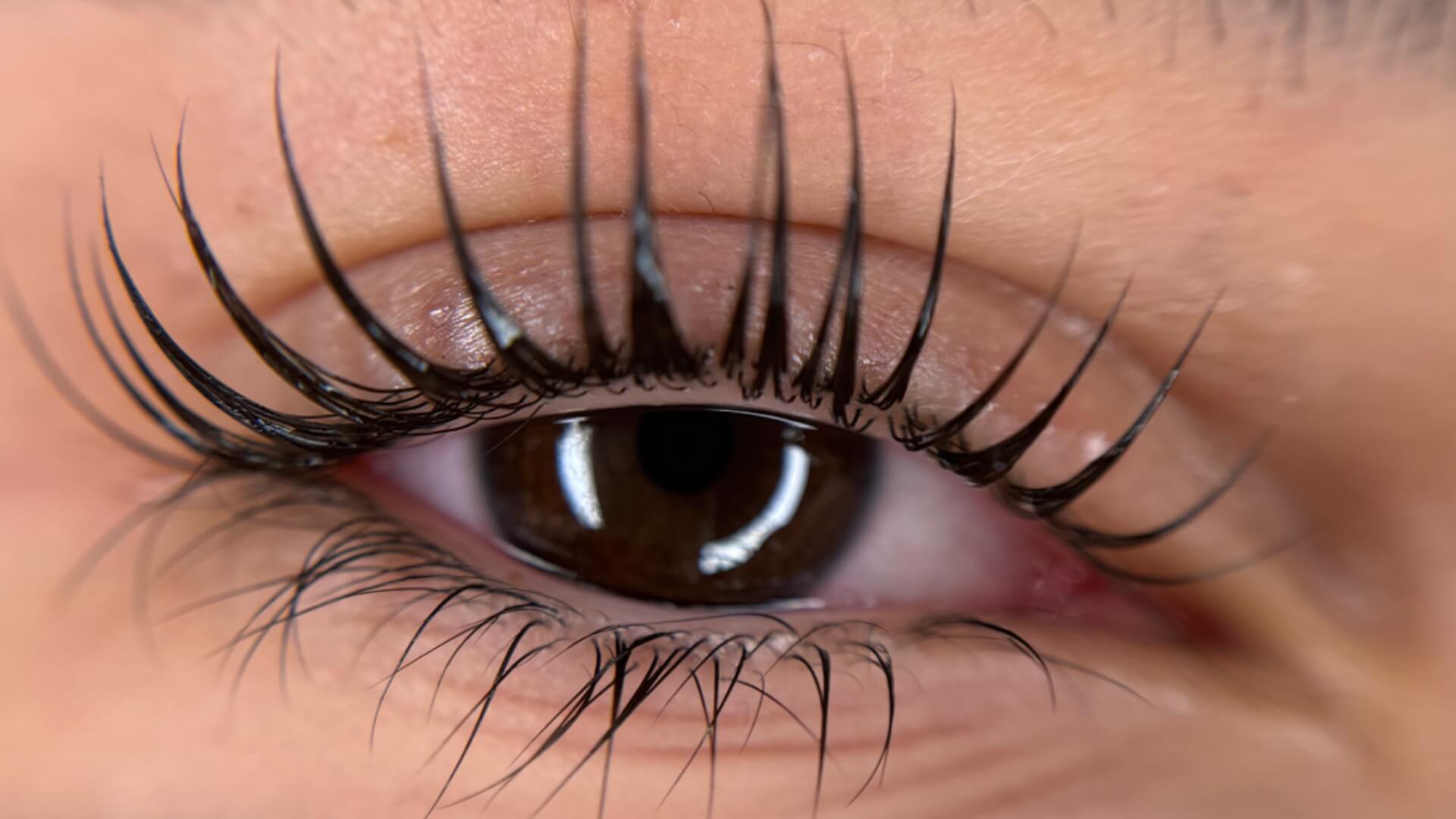  | ORTAL beauty & more