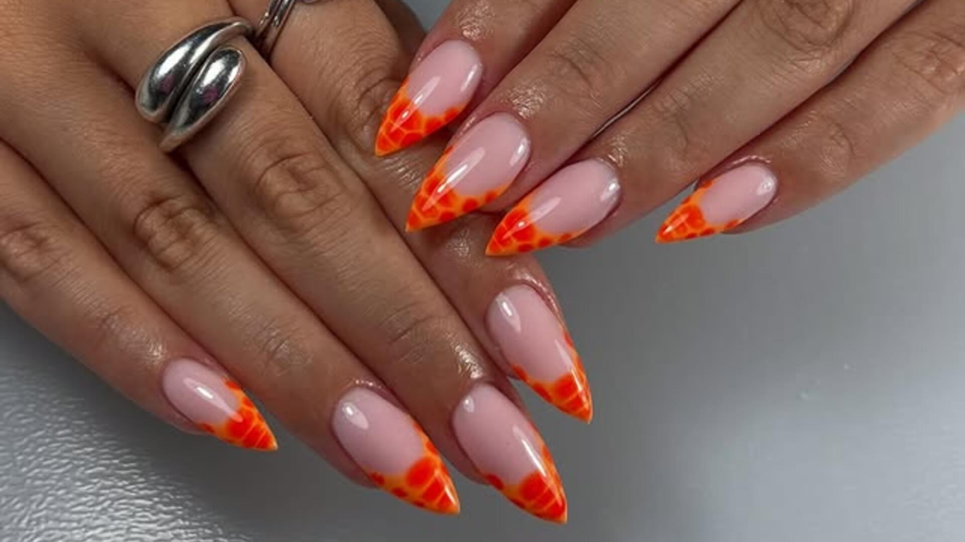 עדן כהן ניילס