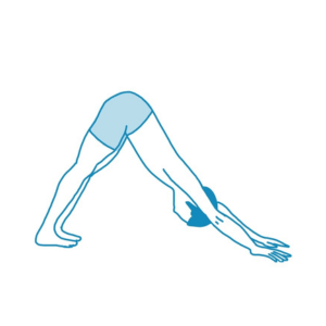 Ganga Yoga  | lee