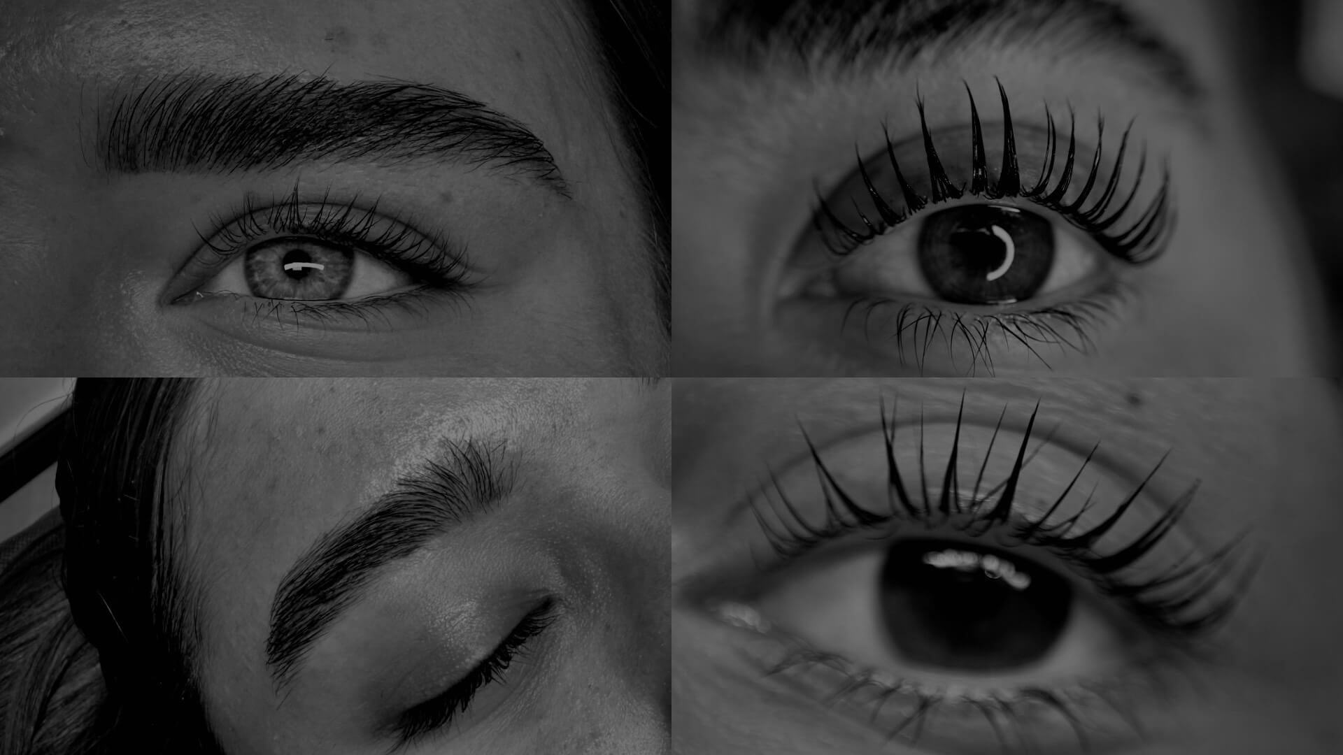 מאי בטש - עיצוב גבות וריסים.