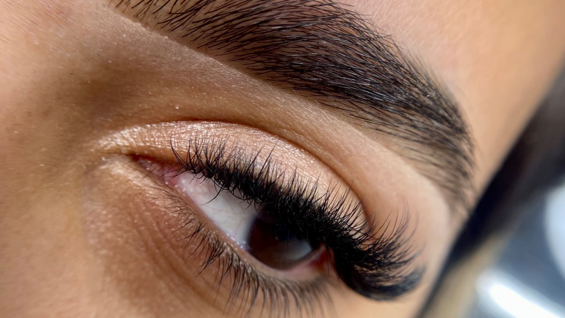 פריסילה יסמין 