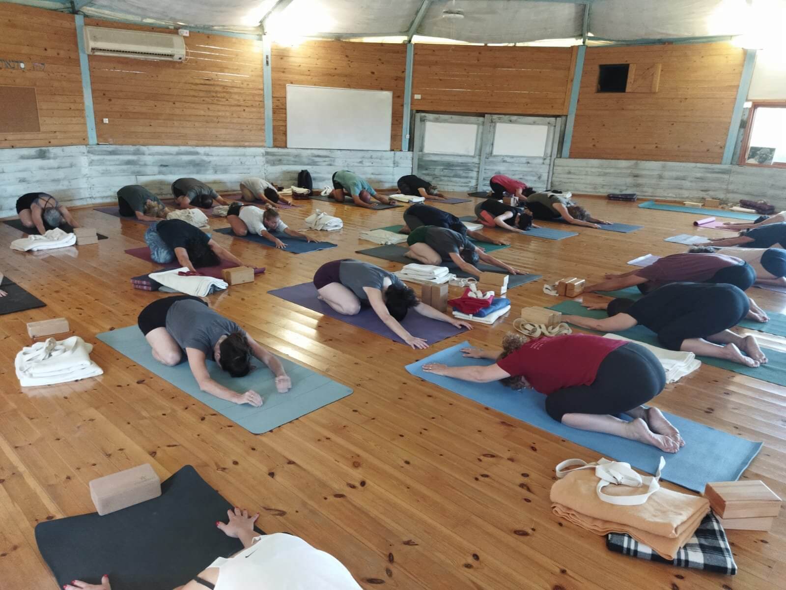 איינגאר יוגה רונית אמיר