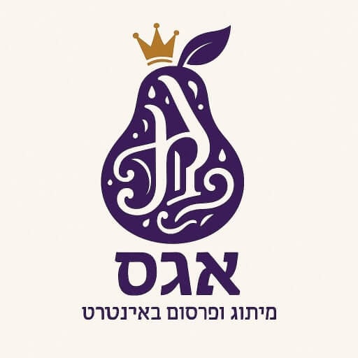 אגס מיתוג ופרסום באינטרנט  - מנהל אזור צפון  רוי זהר | lee