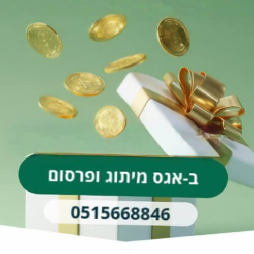 אגס מיתוג ופרסום באינטרנט  | lee