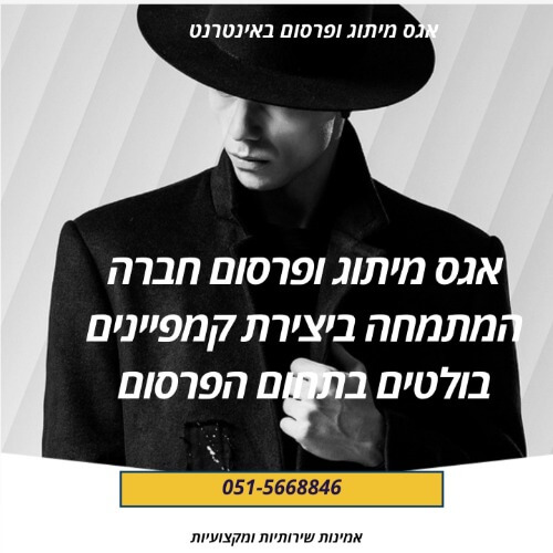 אגס מיתוג ופרסום באינטרנט  | lee
