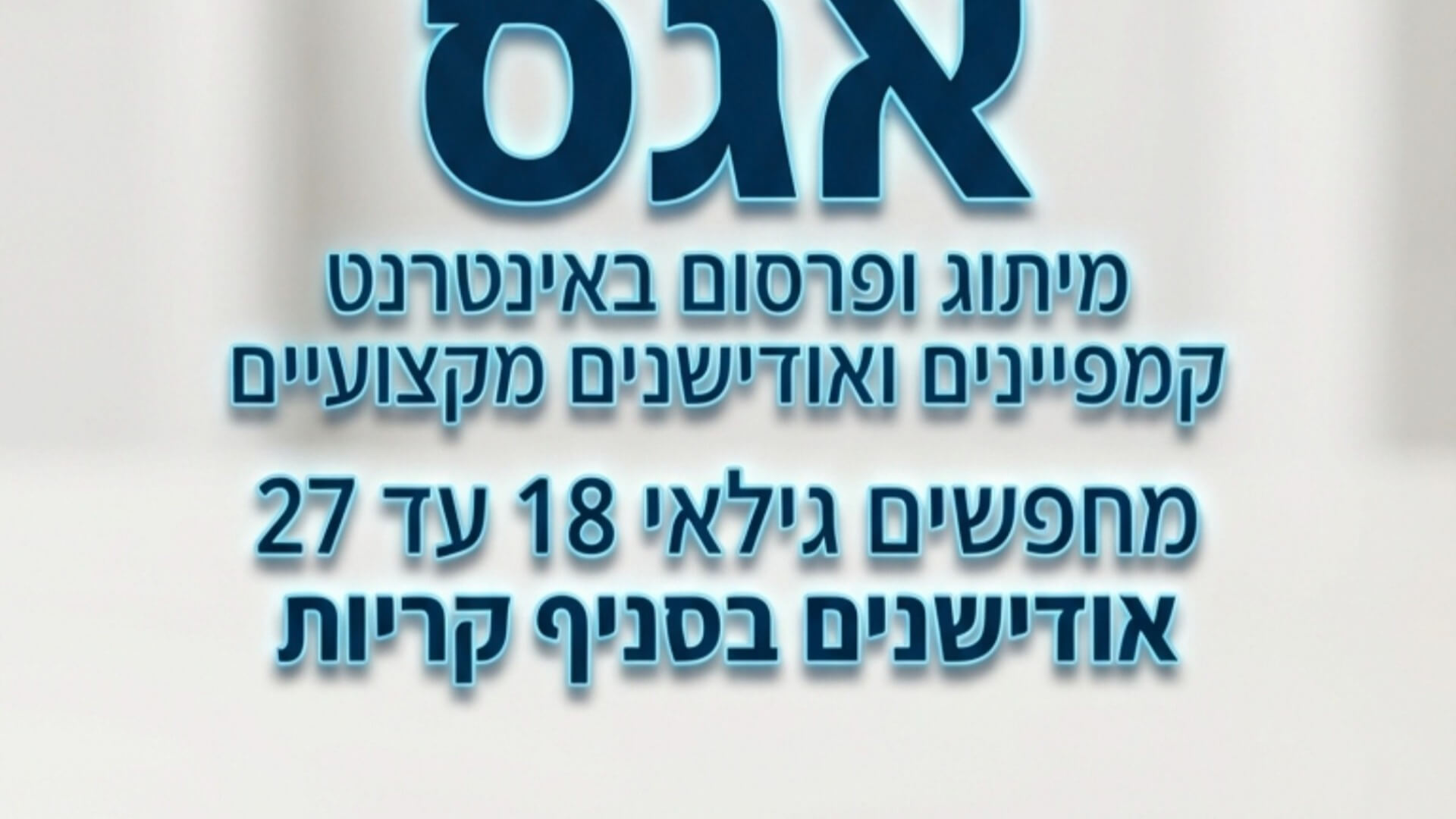 אגס מיתוג ופרסום באינטרנט  - מנהל אזור צפון  רוי זהר