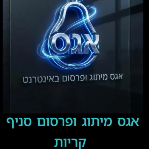 אגס מיתוג ופרסום באינטרנט  | lee