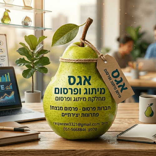 אגס מיתוג ופרסום באינטרנט | lee