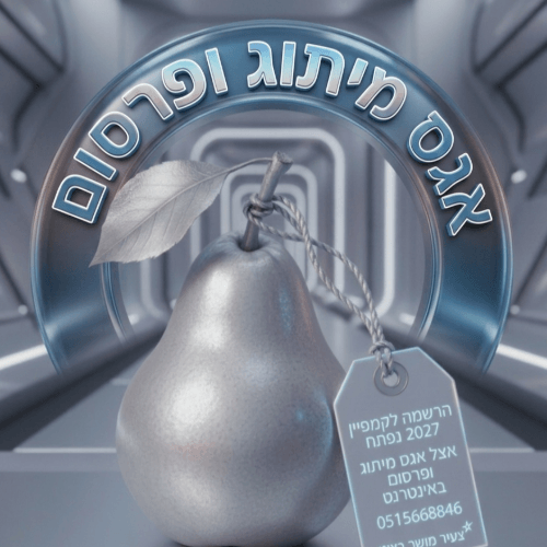 אגס מיתוג ופרסום באינטרנט | lee