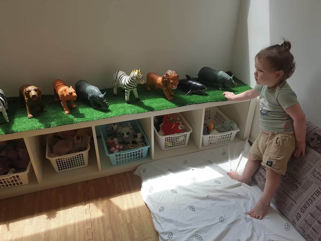 חיבוקי כוכבים