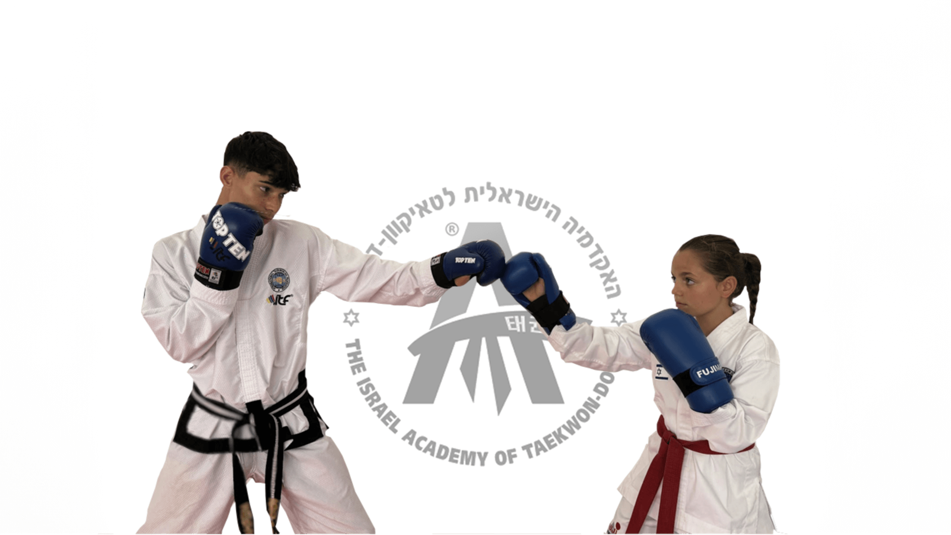 טאיקוון-דו מגידו