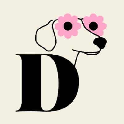 Fresh as a Daisy | lee