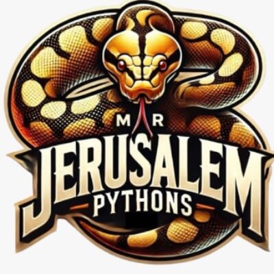 Jerusalem Snakes | lee