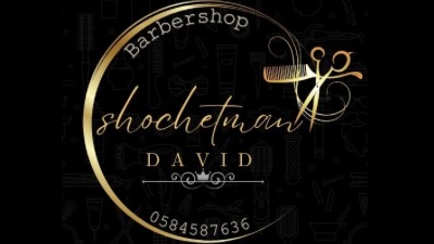 דוידי שוחטמן ספר גברים 