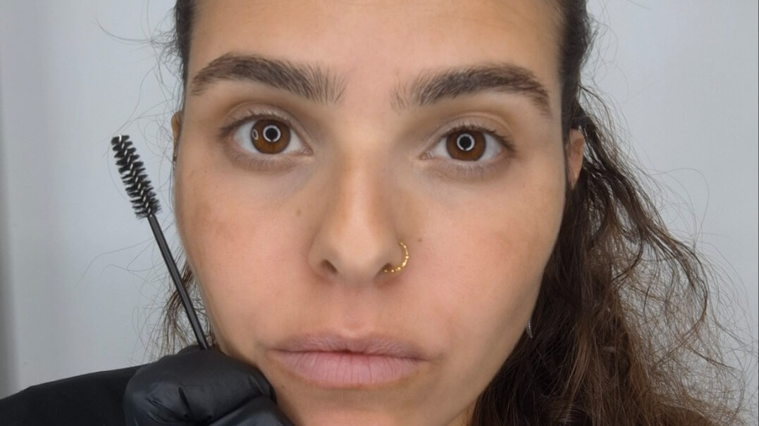 Dekel.H tuvia brows