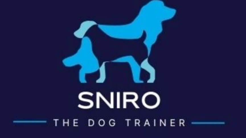 שנירו אילוף כלבים