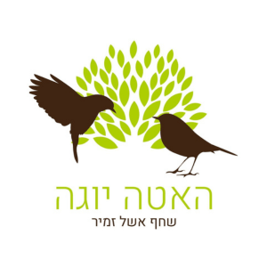 האטה יוגה | lee