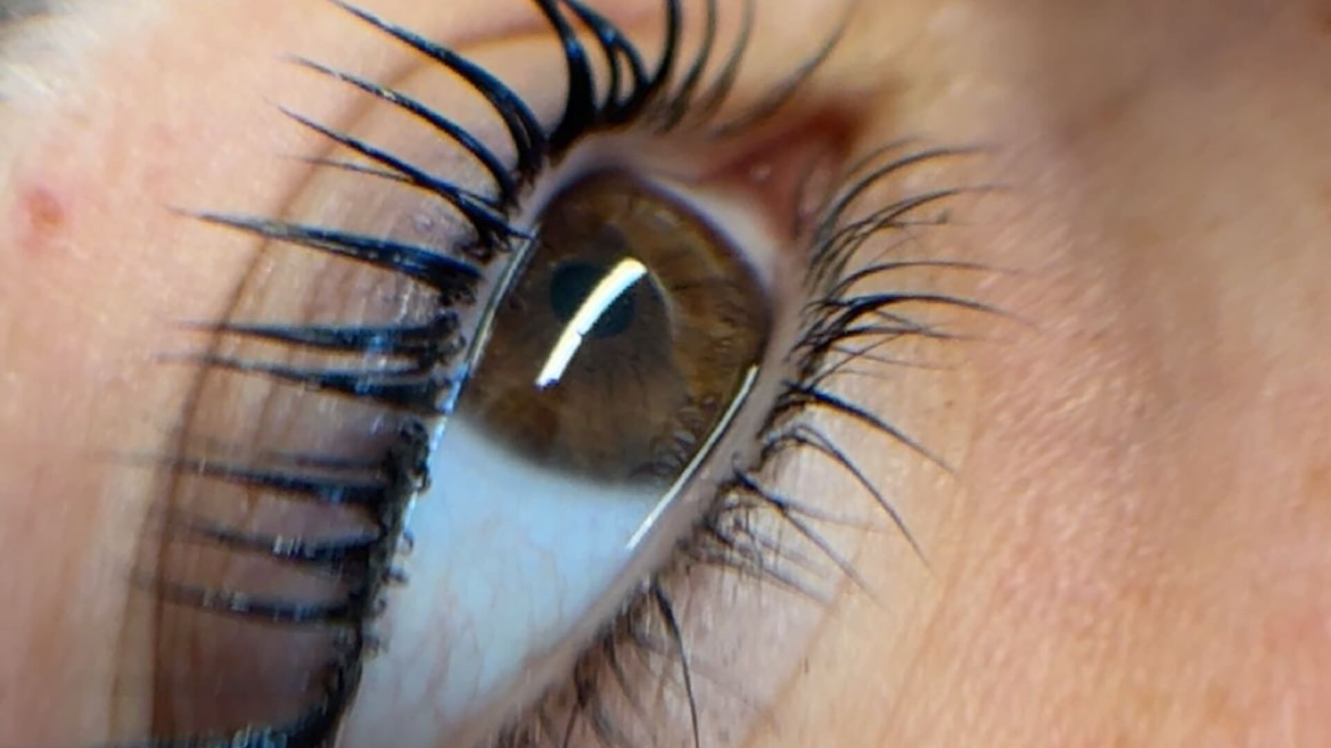  | מאי-עיצוב ושיקום גבות טבעיות