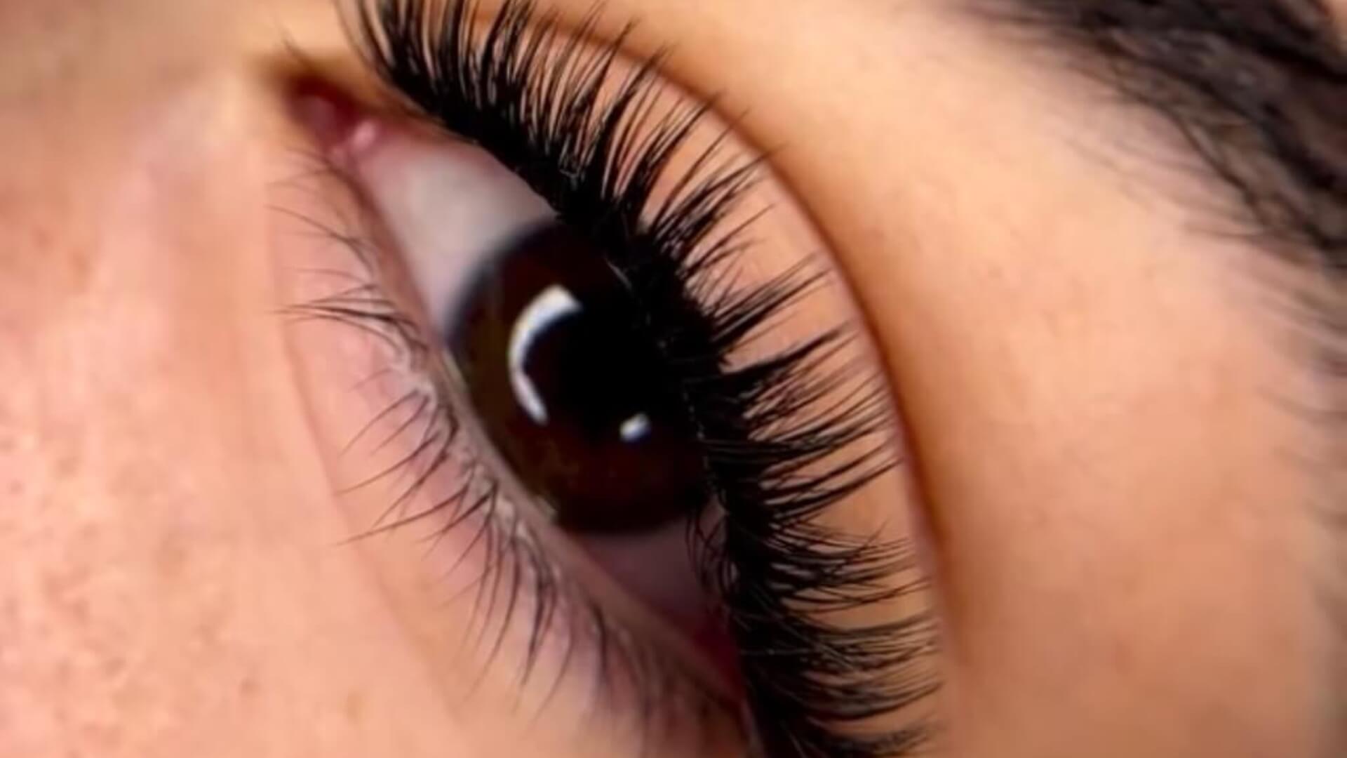 אלינור ביוטי  