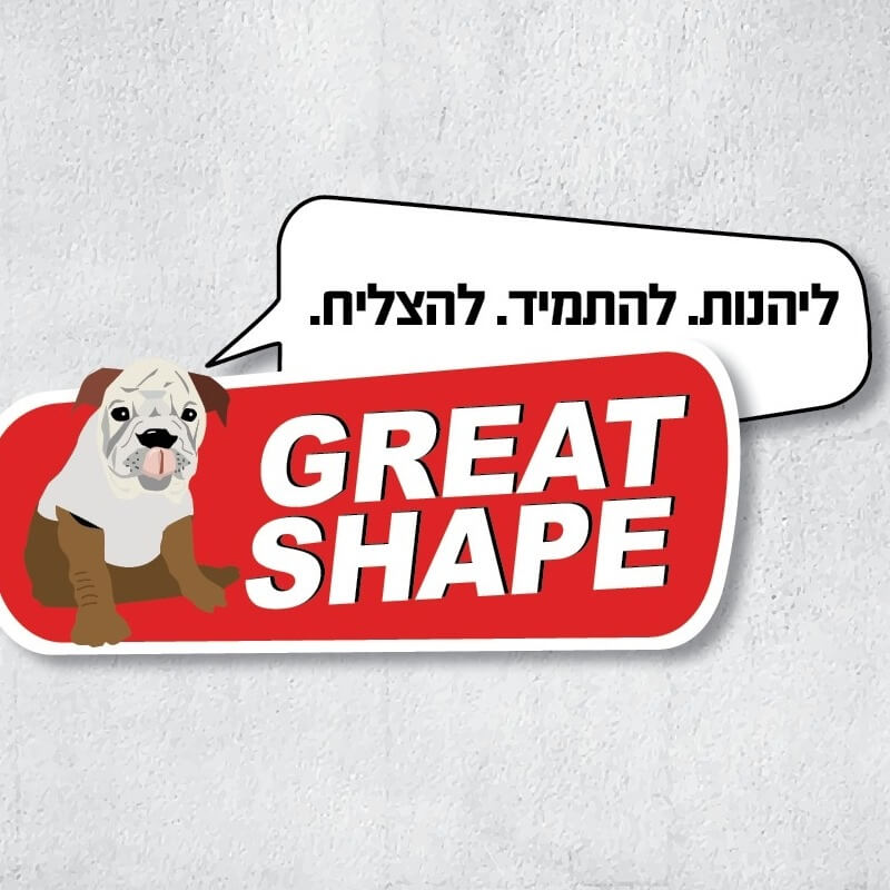 קאנטרי גרייט שייפ נשר  | lee
