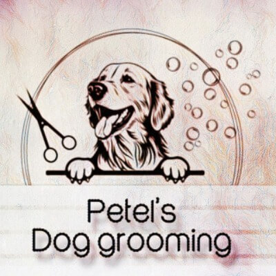 Petel's Dog Grooming | lee