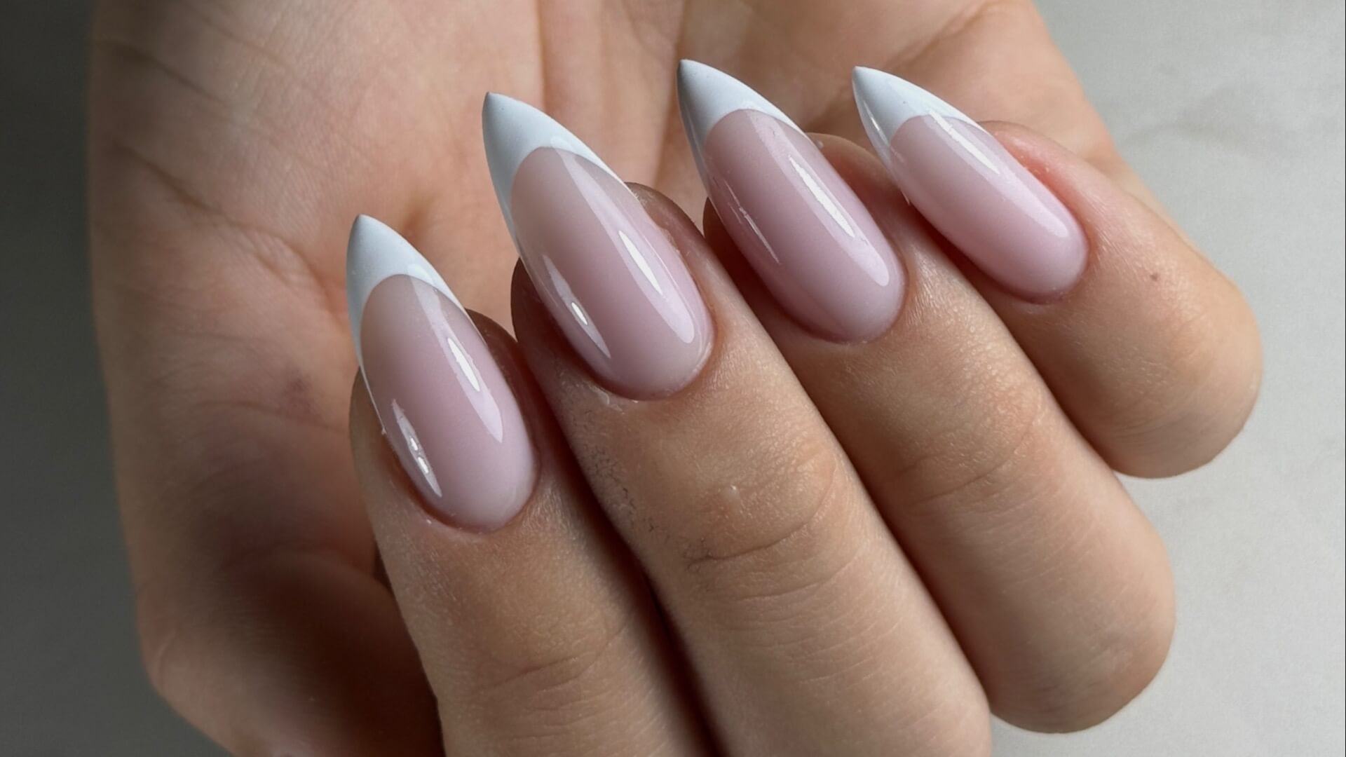  | קורל בר ציון ניילס