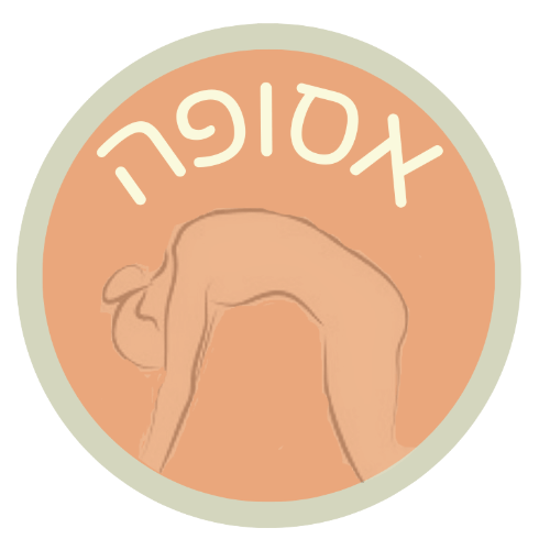 סטודיו אסופה | lee